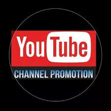 Permanent organic subscribers for youtube monetization