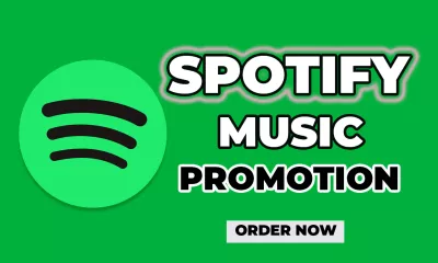 Premium spotify organic worldwide plays