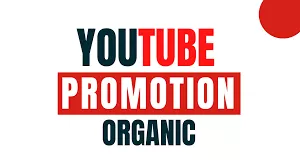 Permanent organic subscribers for youtube monetization