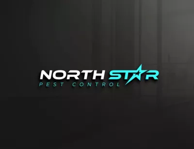 I will design a unique minimalist business logo 