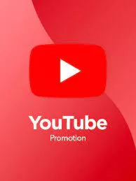 Permanent organic subscribers for youtube monetization