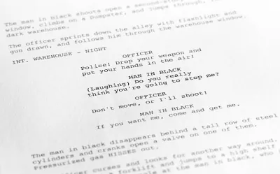 offer professional industry-standard screenwriting.